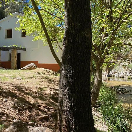 Casa Rural Molino Jaraiz Yeste Exteriör bild
