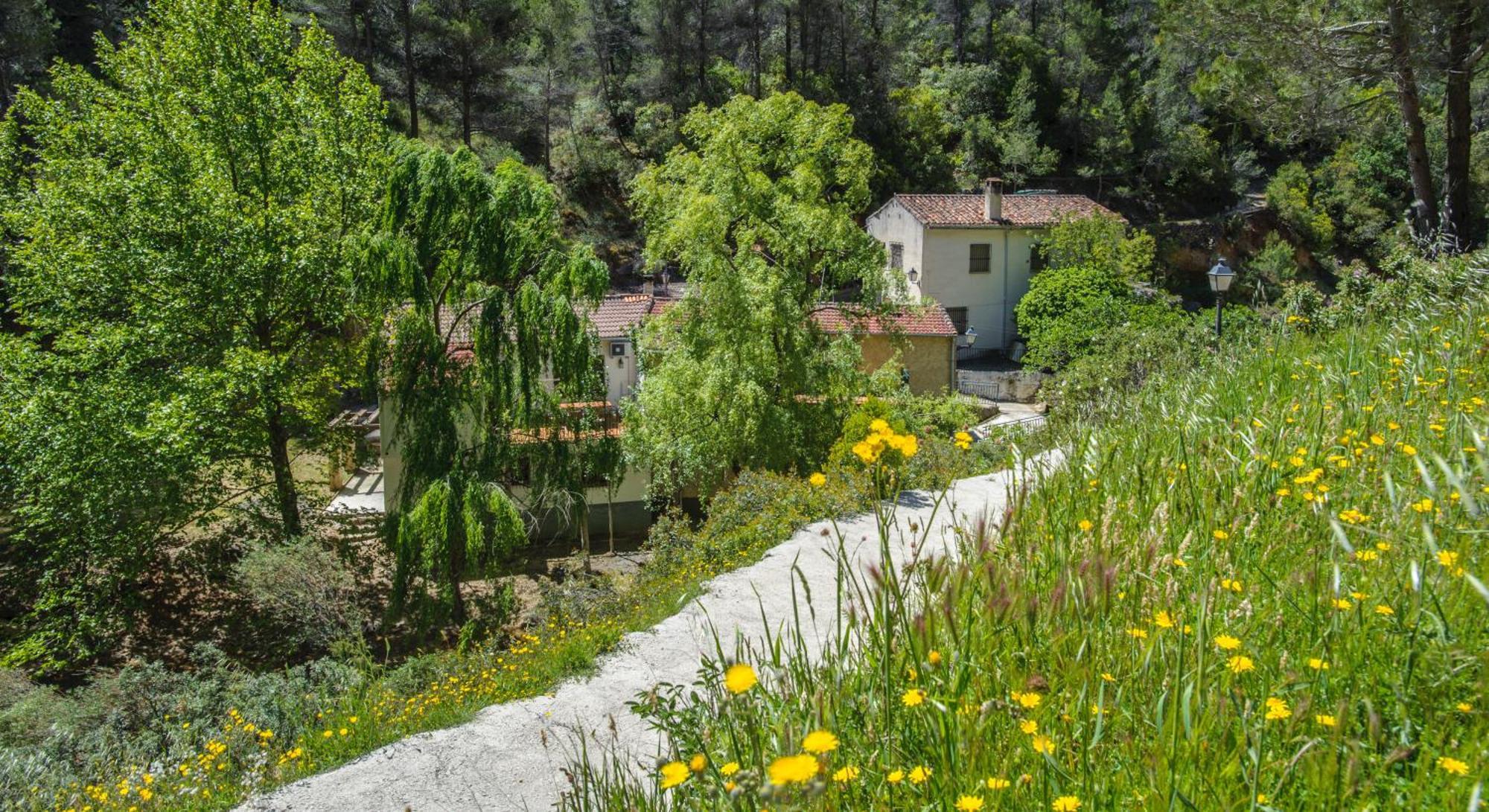 Casa Rural Molino Jaraiz Yeste Exteriör bild
