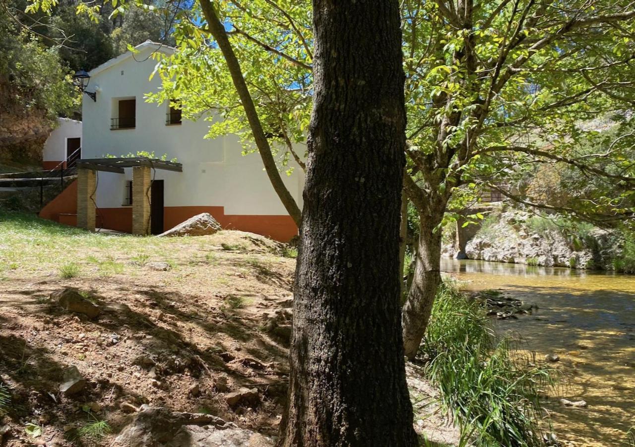 Casa Rural Molino Jaraiz Yeste Exteriör bild